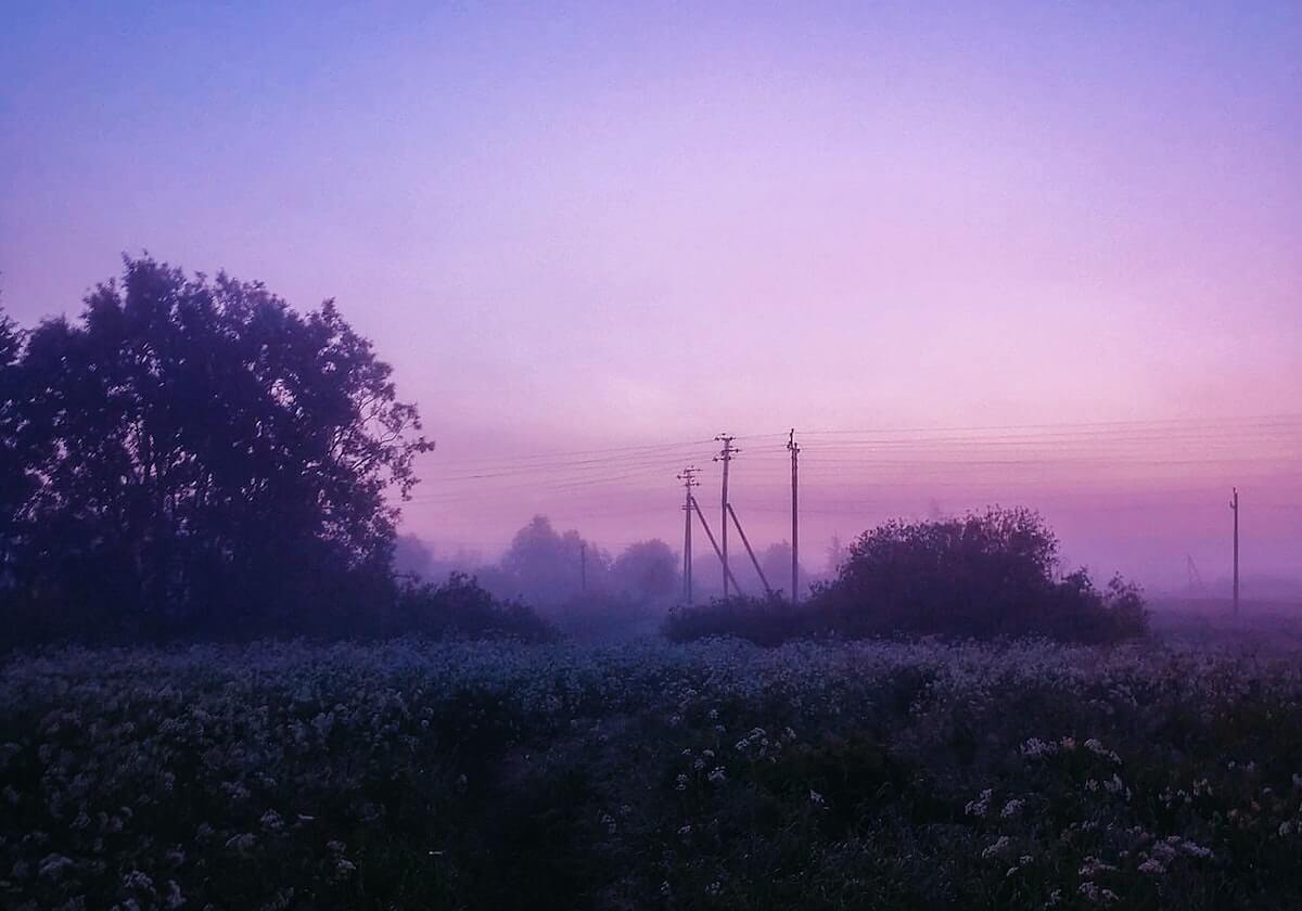 一竞技网站-bob半岛体育平台：让每一次跳动都被看见